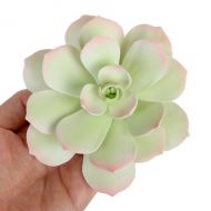 Sugar Flower - Starburst Succulent - Light Green