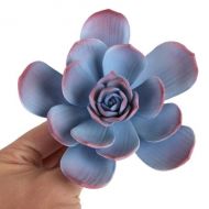 Sugar Flower - Wild Desert Succulent - Purple.